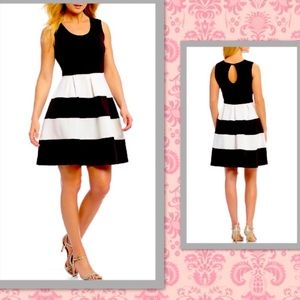 New, never worn Navy/White Scuba Dress Dillard’s